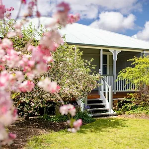 Apple Blossom Stanthorpe